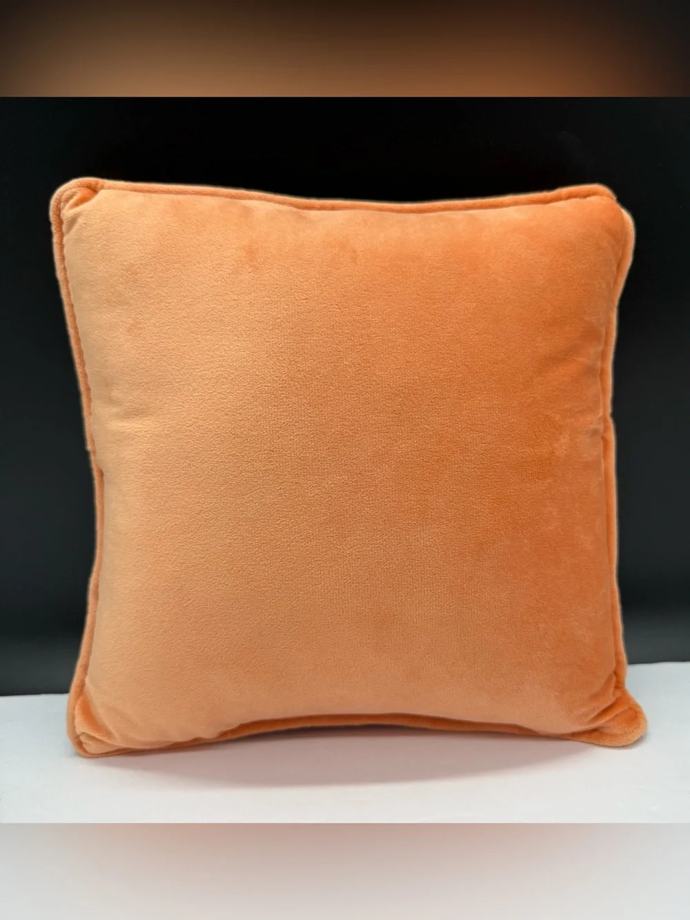 Sm Decorative Throw Pillow Perfect For  Airbnb ~ Guest Room Needlepoint Vacation